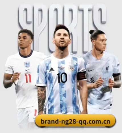 南宫体育 APP - NG28 SPORTS